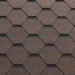 кора дерева.jpg