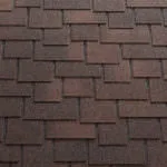 аравайское дерево.jpg