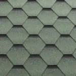 зелень мохова.jpg