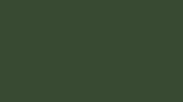 Pine Green RR11.png
