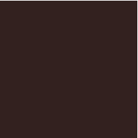 RR 887 Chocolate brown.png