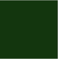 RR 11 Spruce green.png